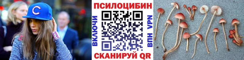 Псилоцибиновые грибы Magic Shrooms  Купить  Сольвычегодск 