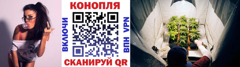 Купить где  Сольвычегодск  Каннабис AK-47 